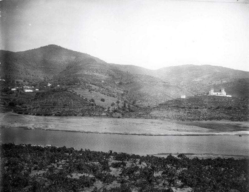 Quinta dos Frades, do Conde da Folgosa : Douro, por Emílio Biel