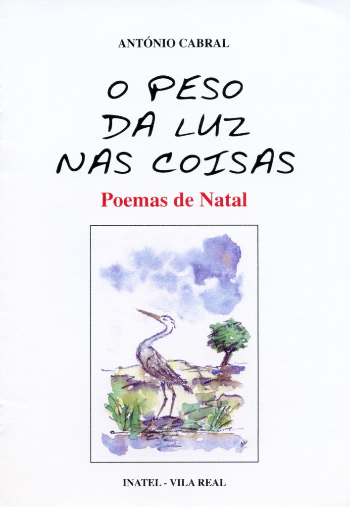 O peso da luz nas coisas (capa)